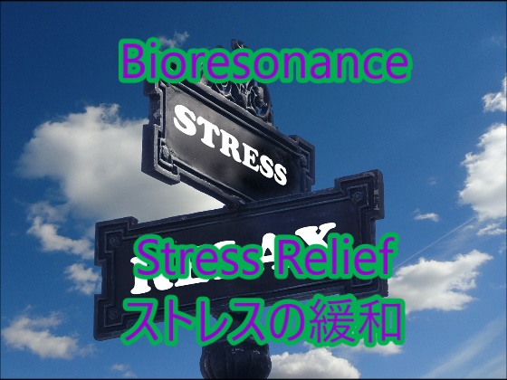 バイオレゾナンス ストレスの緩和 ハイレゾ版 48000Hzまで