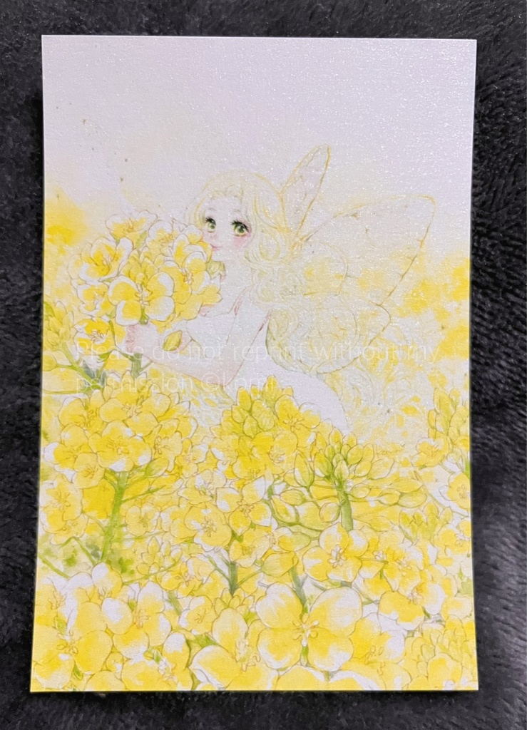 ポストカード「春めく蝶たち」