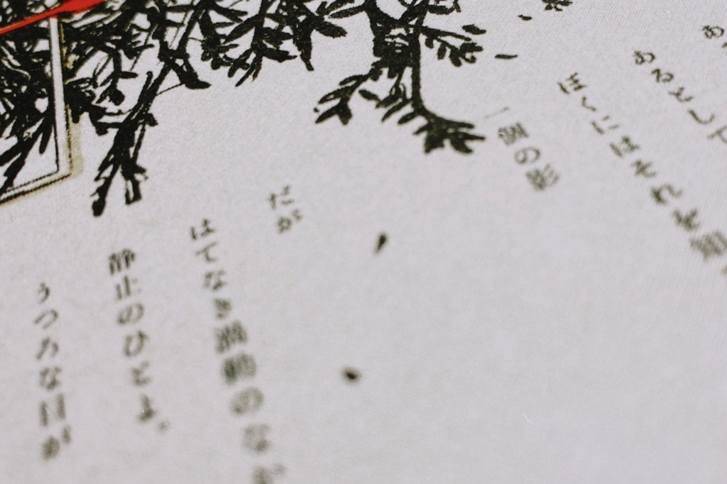 【匿名配送】宿題のあとで