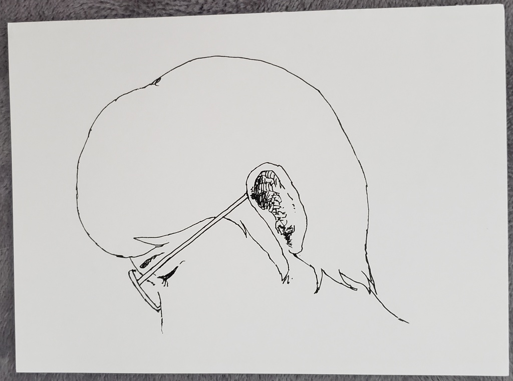 メガネ男子の横顔