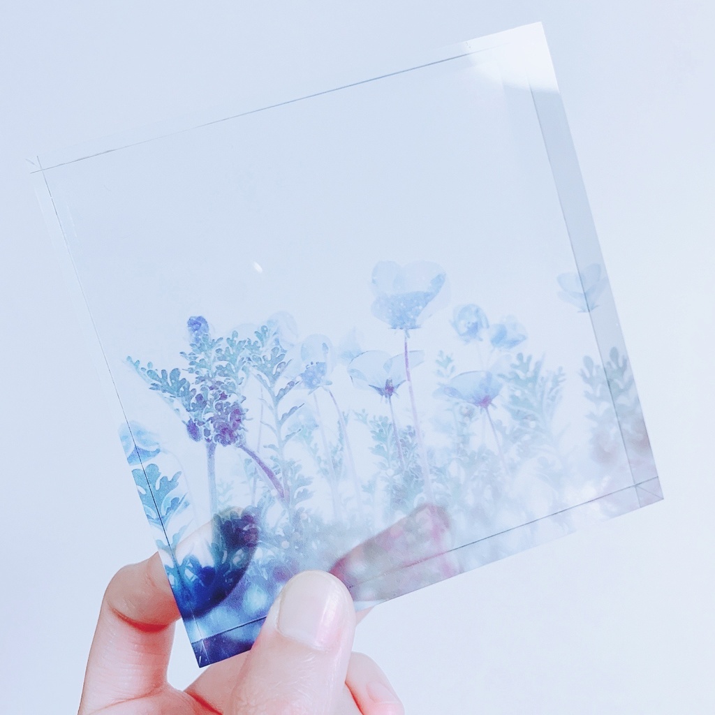 宵のネモフィラ(写真)アクリルブロック