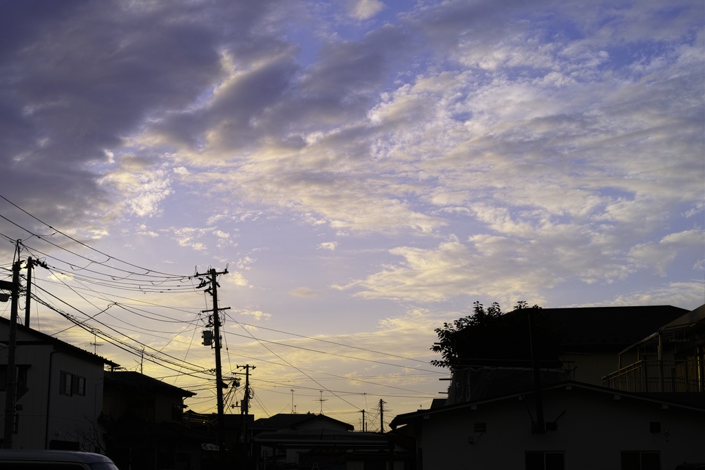 夕景の家並みと電柱