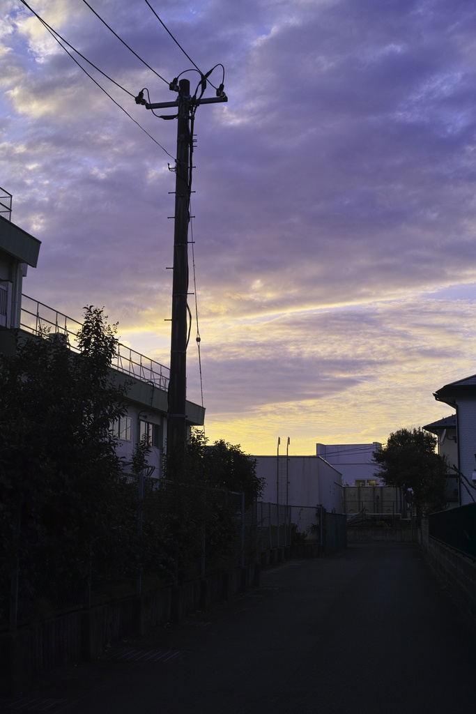 夕景の校舎と電柱