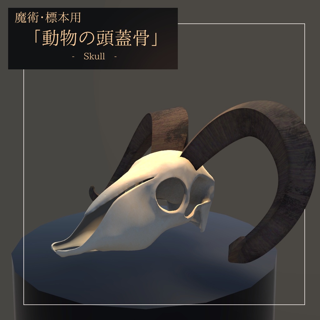 【3Dモデル】動物の頭蓋骨 (VRChat想定)