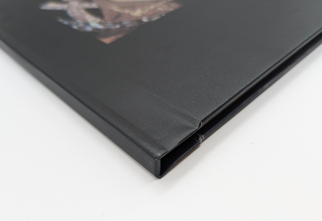 オリジナルイラスト本/napil