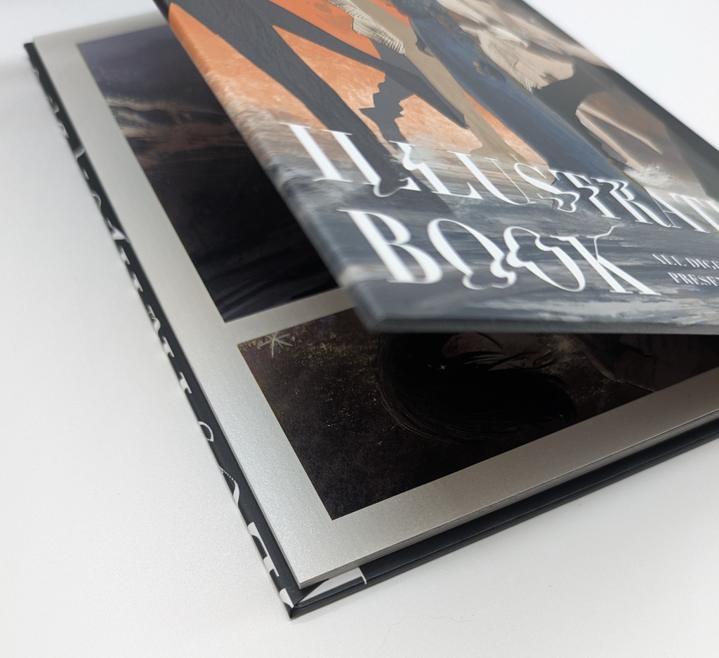 オリジナルイラスト本/napil