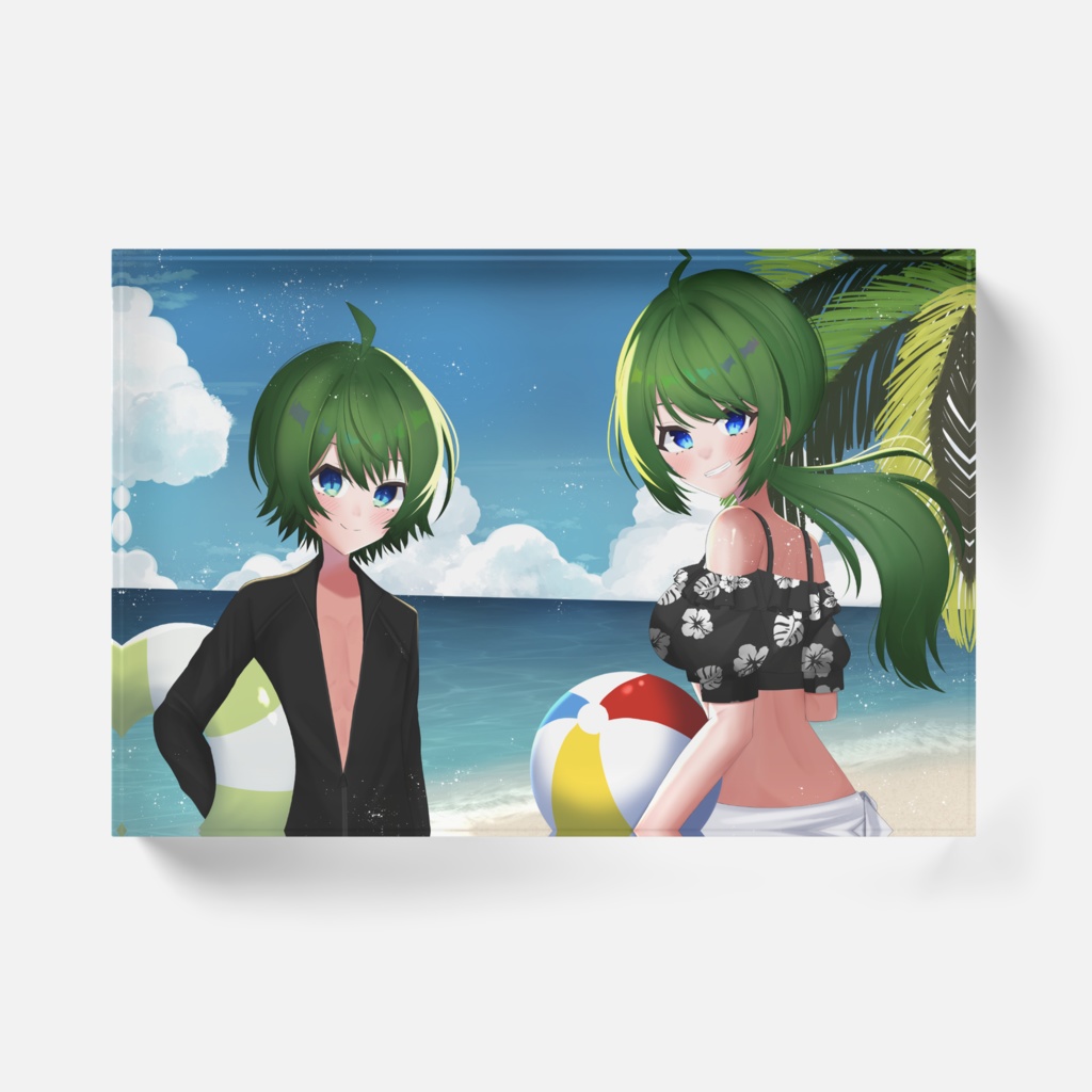 ハクパカアクリルブロック