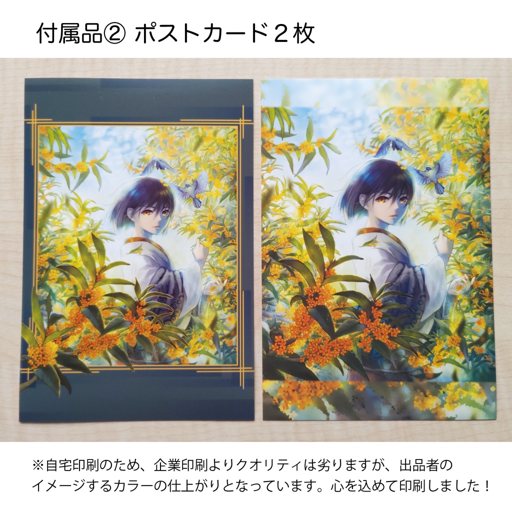 カレンダー【花暦】令和6年4月始まり