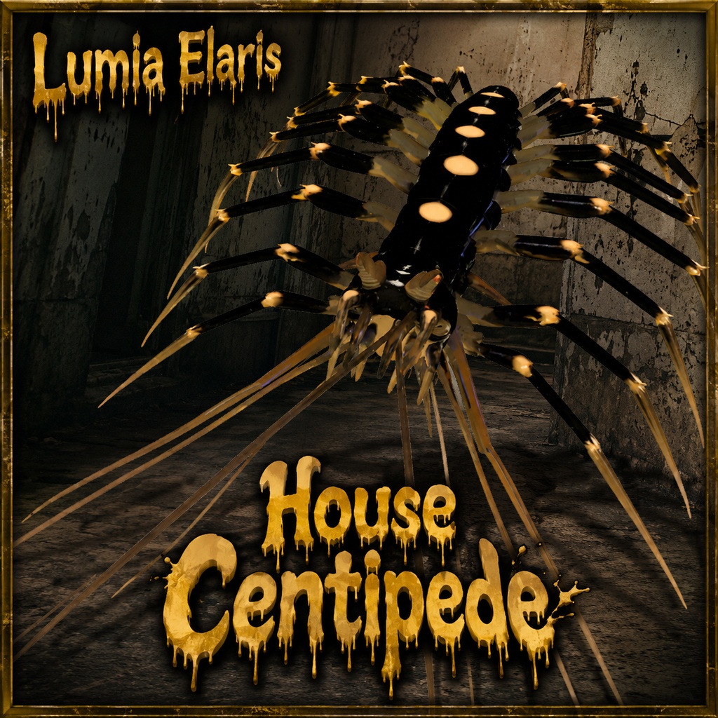 🕷️ House Centipede / ゲジ / 그리마