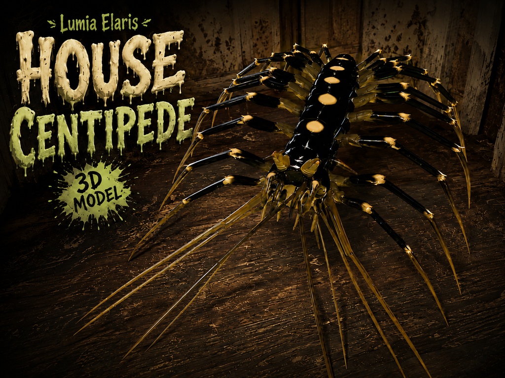 🕷️ House Centipede / ゲジ / 그리마