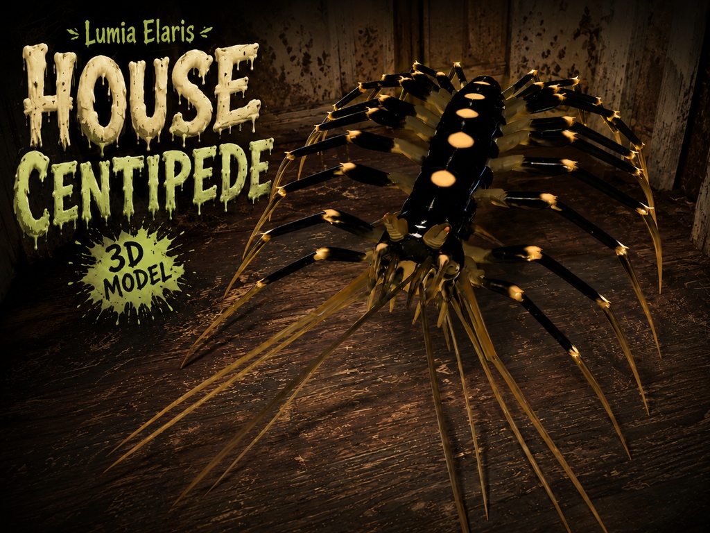 🕷️ House Centipede / ゲジ / 그리마