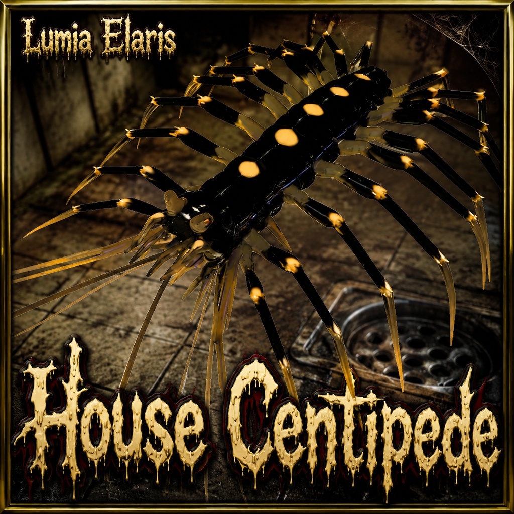 🕷️ House Centipede / ゲジ / 그리마