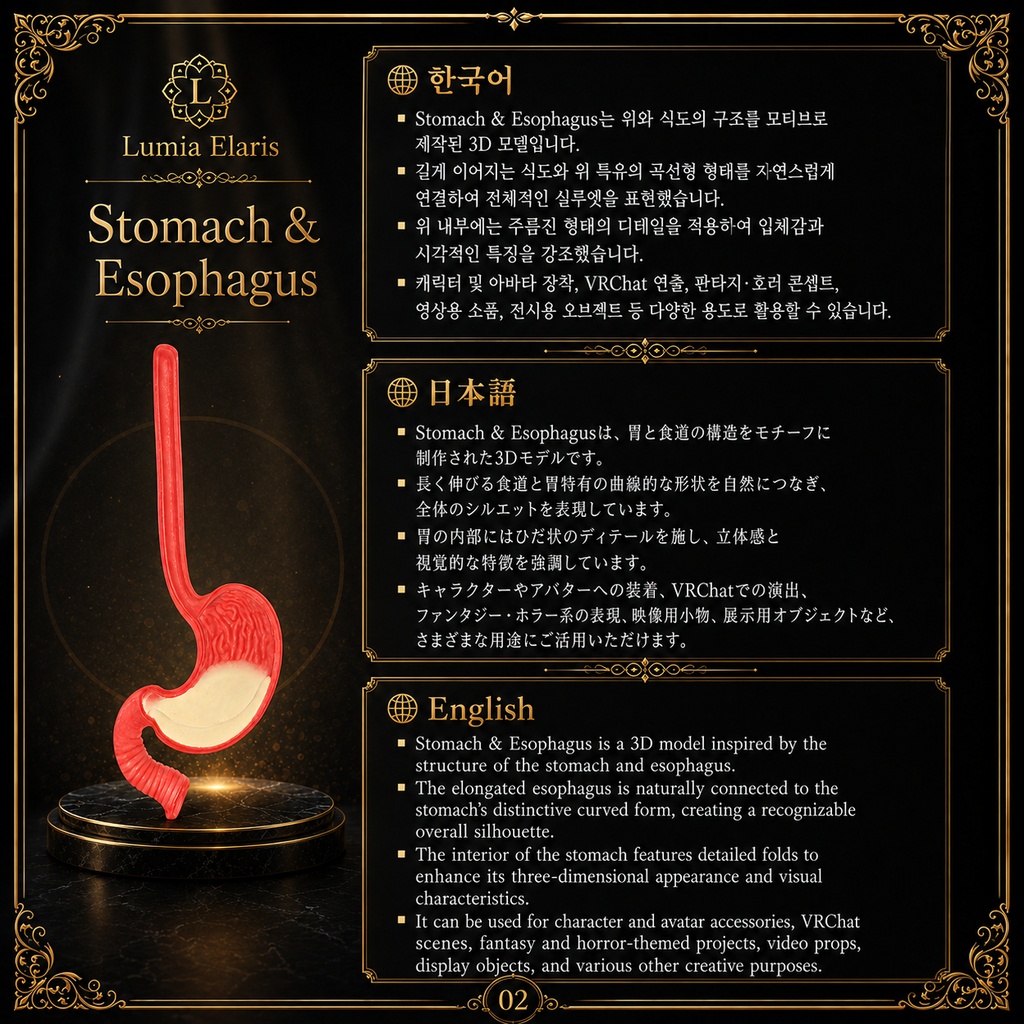 ð§ Stomach & Esophagus Model / èã»é£éã¢ãã« / ìì¥Â·ìë 몚ëž