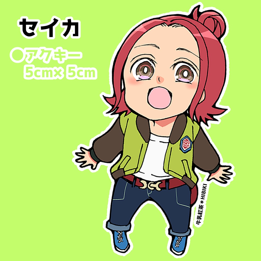 セイカ　アクキー