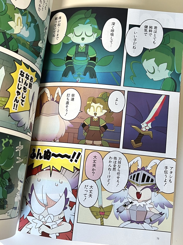 白鳥の戦士団(ヴァルキリー)ですが何か~魂を宿す剣~