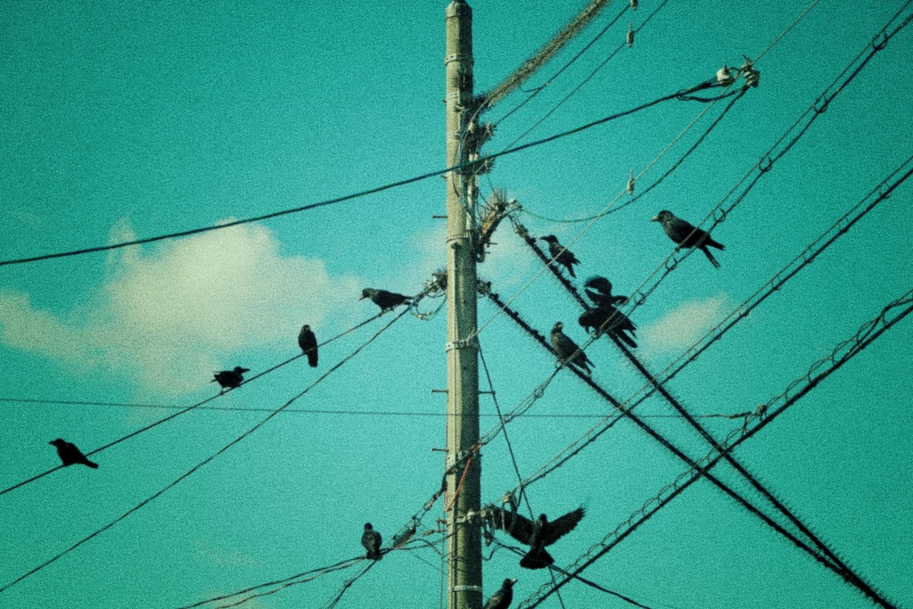 【無料】写真素材集1.5