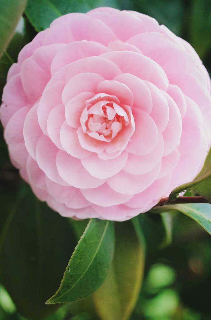 【無料】写真素材集1.5