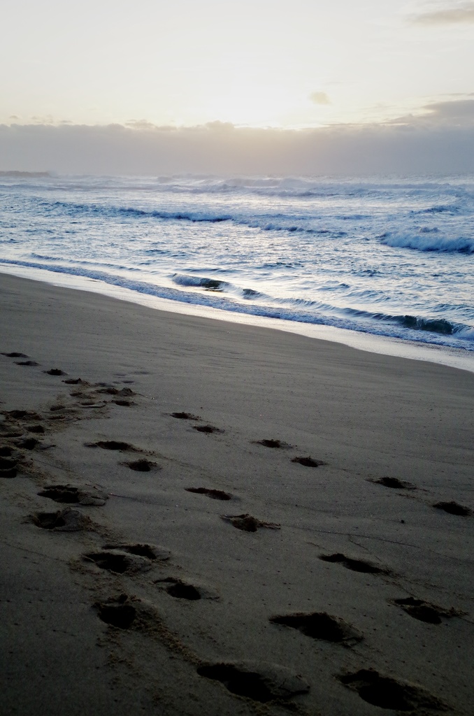 【無料】写真素材集1.5