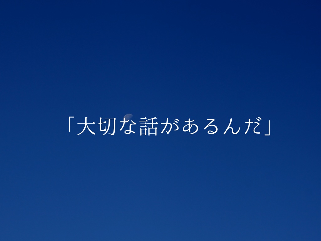 【エモクロアTRPG】電光朝露の君に告ぐ