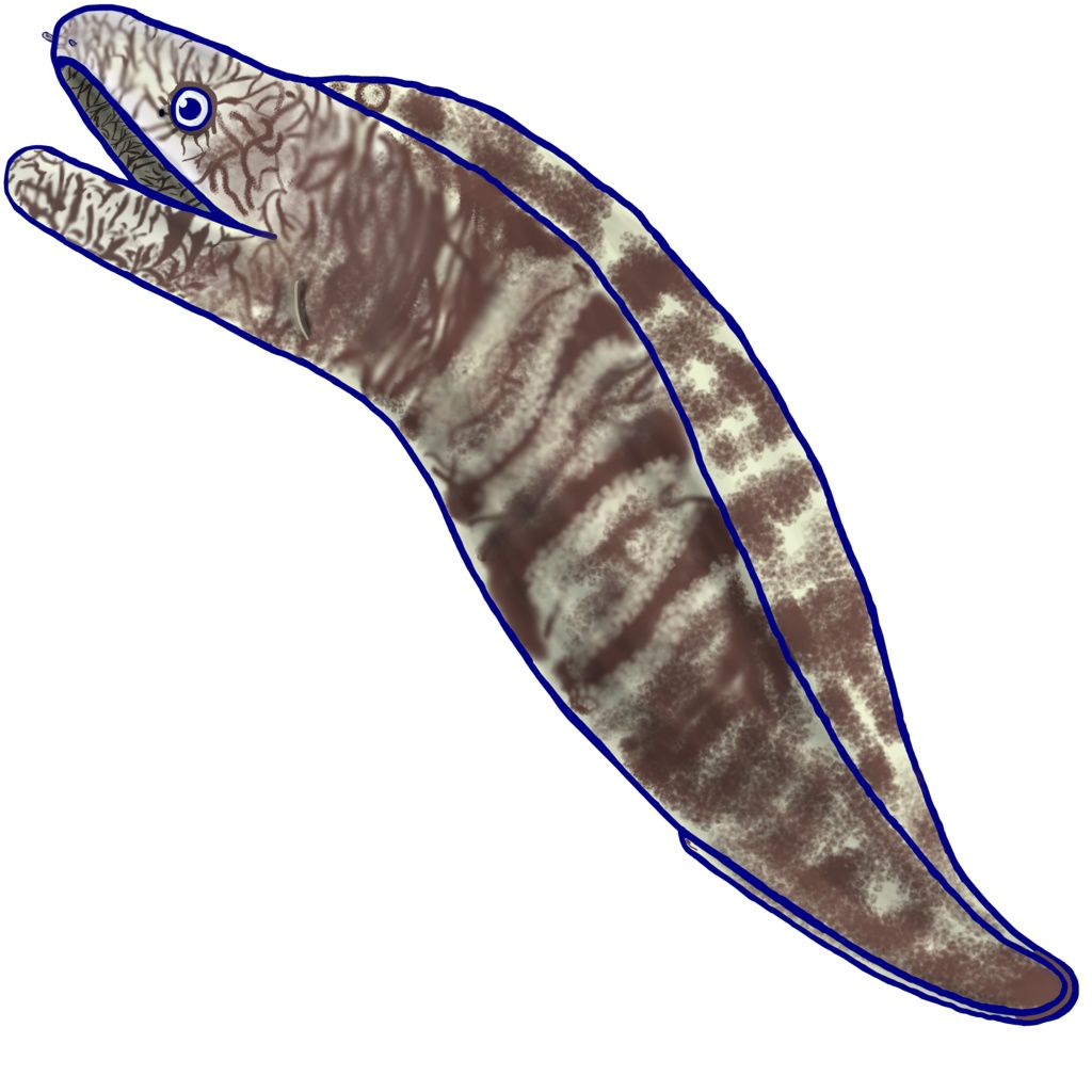 ウツボのアクリルキーホルダー‼️