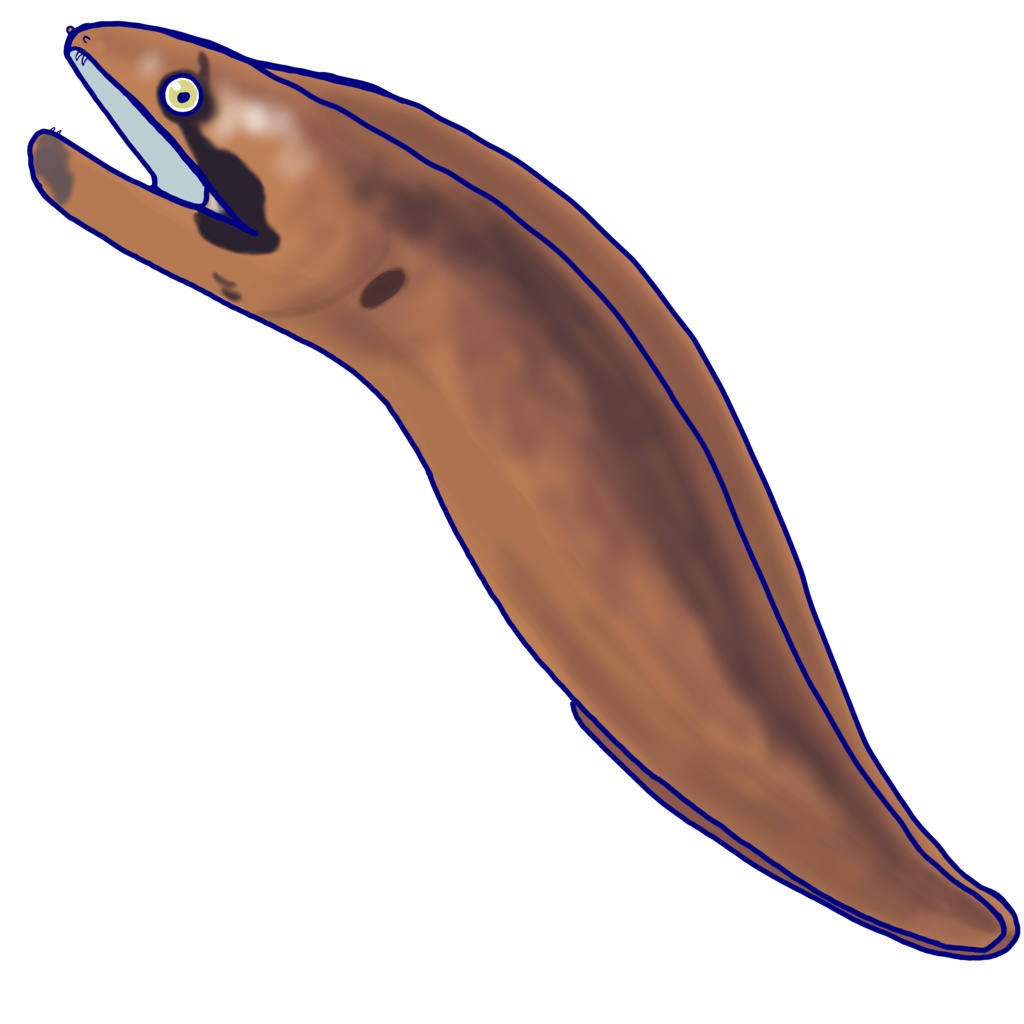 ハチモンジウツボのキーホルダー