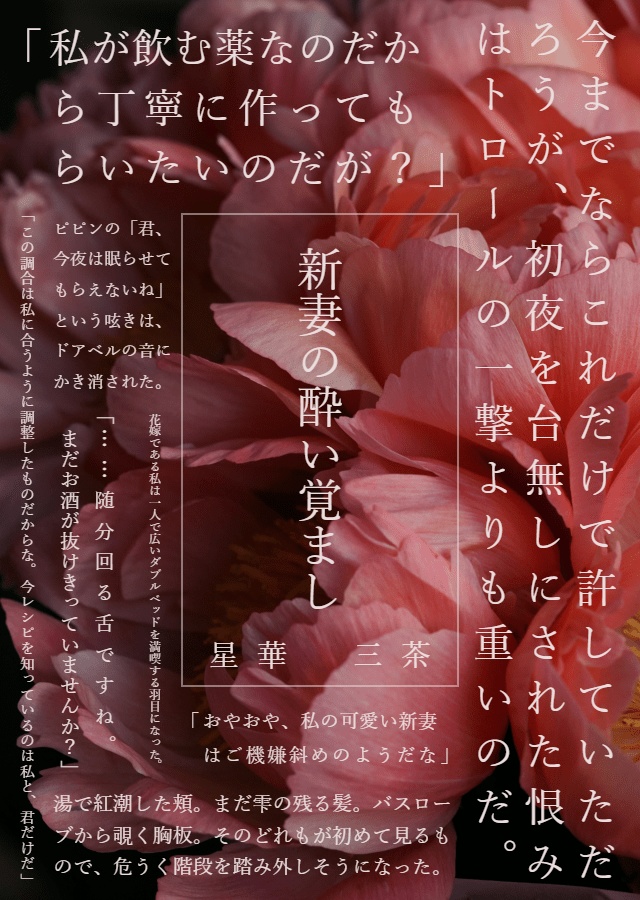 【小説本】愛しい君よ