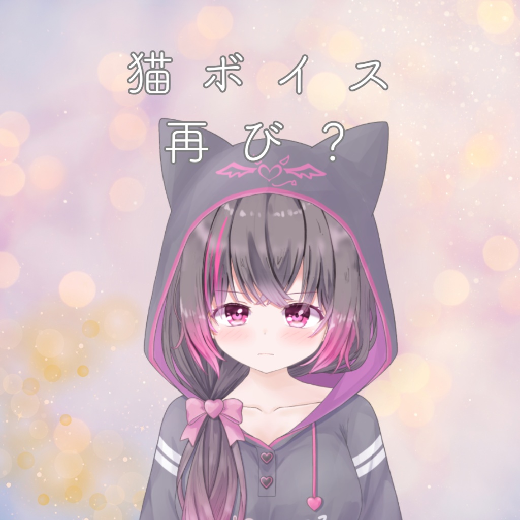 猫ファル再び？？