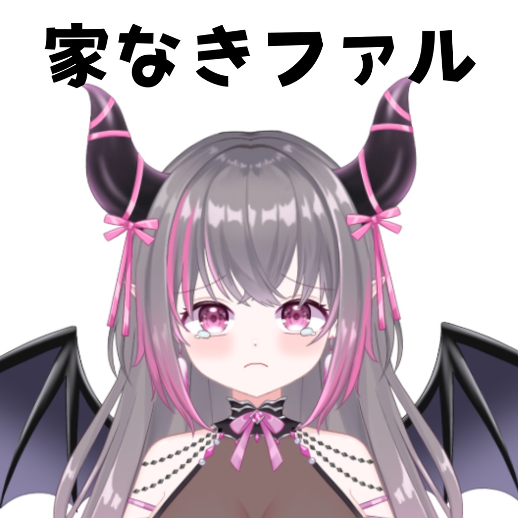 家なきファル