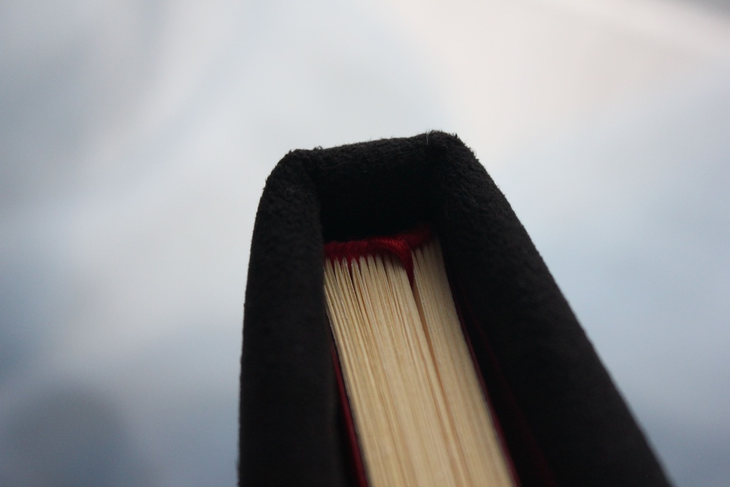 👑【スーパーダンガンロンパ2】ソニア・ネヴァーマインド風スケッチブック(ハンドメイド・一点物)