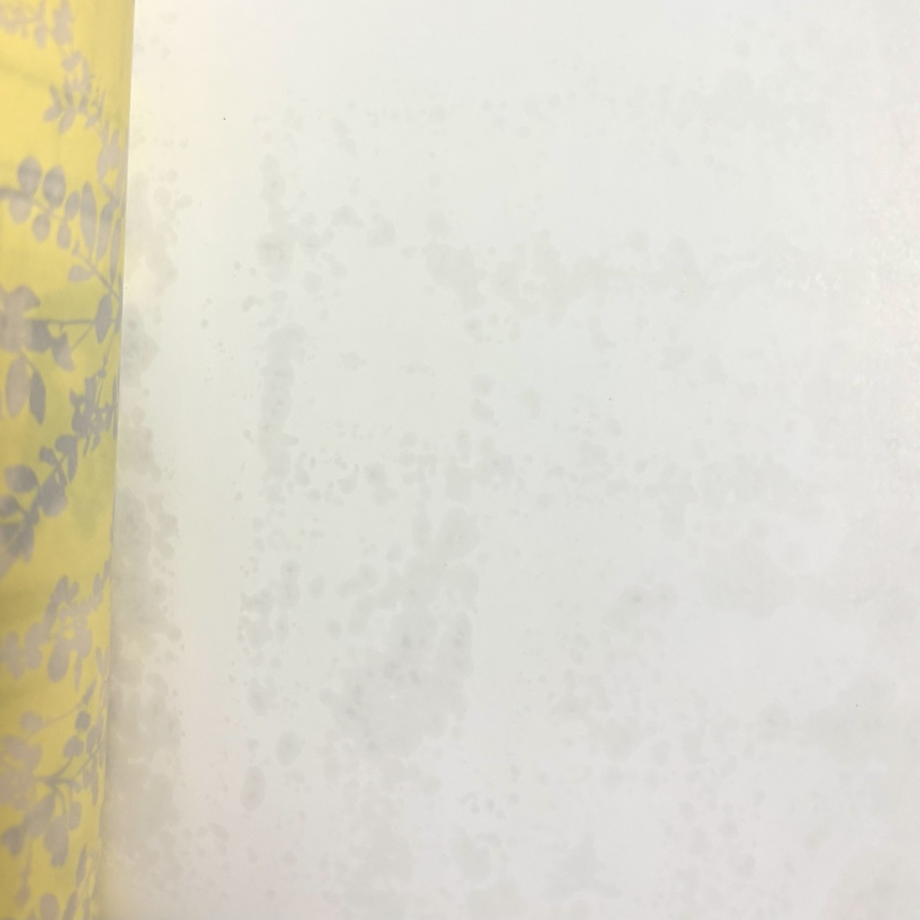 テセウスと魔法生物アンソロジー「Hygge」