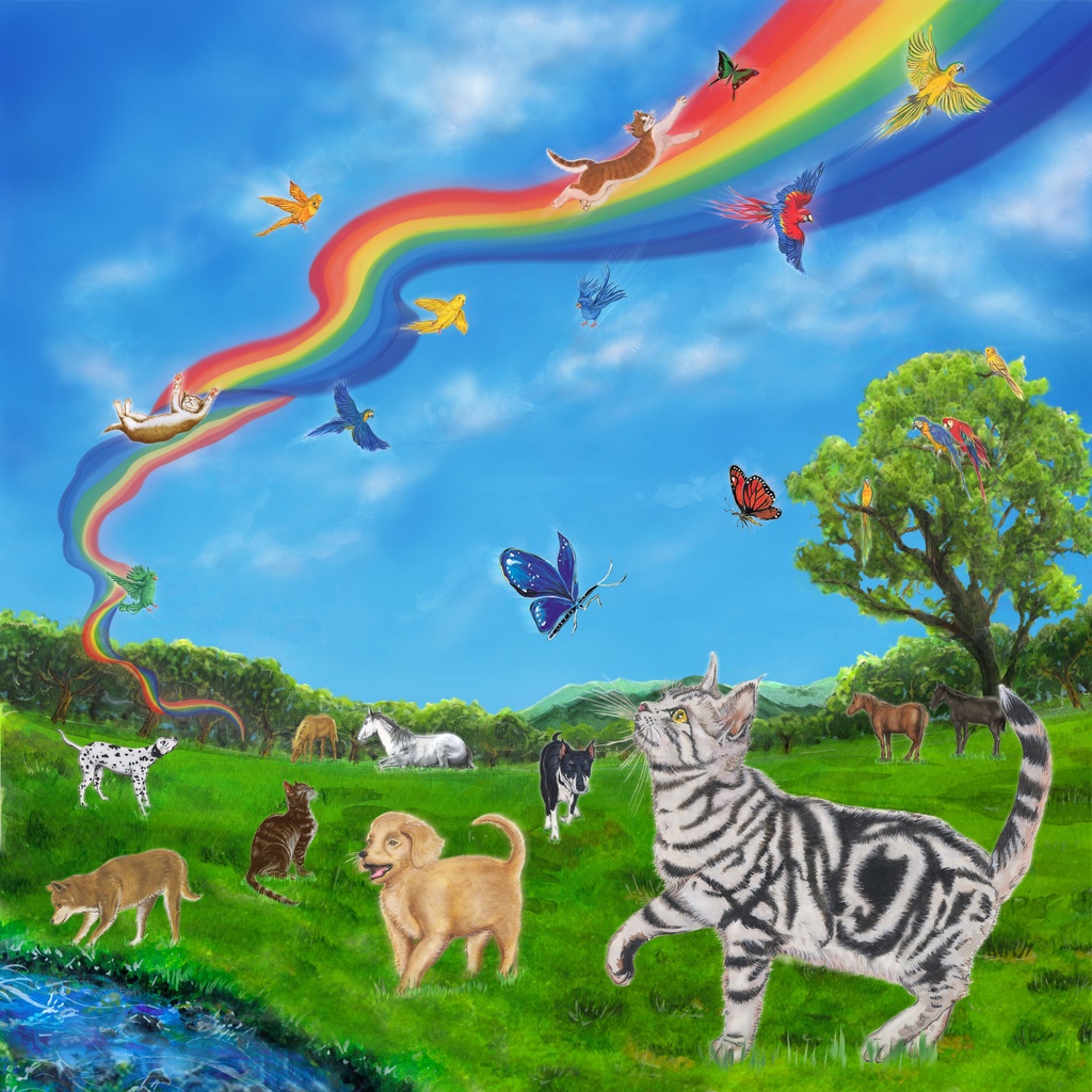 虹の橋 Tシャツ