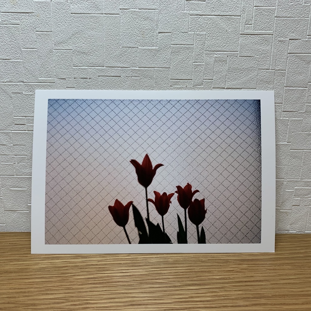 窓辺のチューリップのポストカード