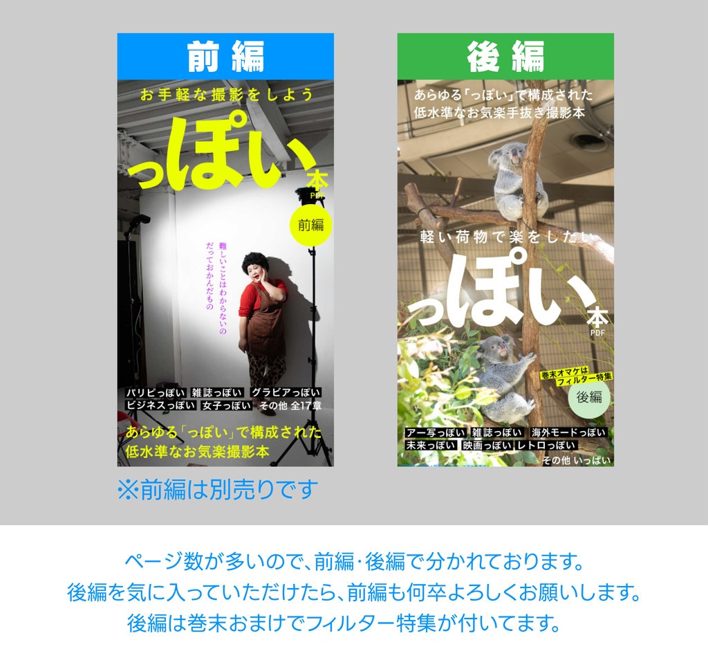 っぽい本(後編)