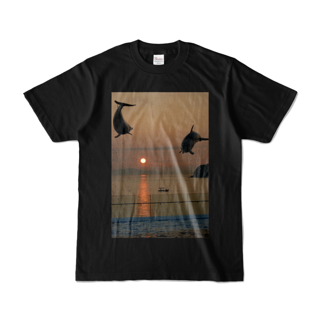 イルカ　Ｔシャツ