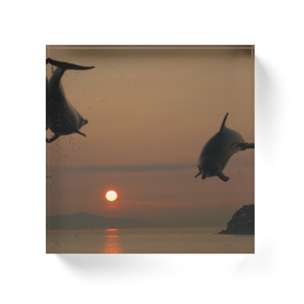 アクリルブロック イルカ