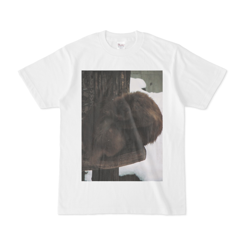 Tシャツ 猿