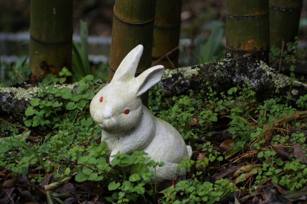 うさぎ 缶バッジ