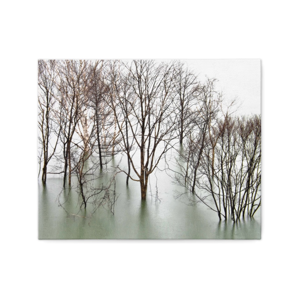 風景　湖　枯木　キャンバス　F3（273×220mm）