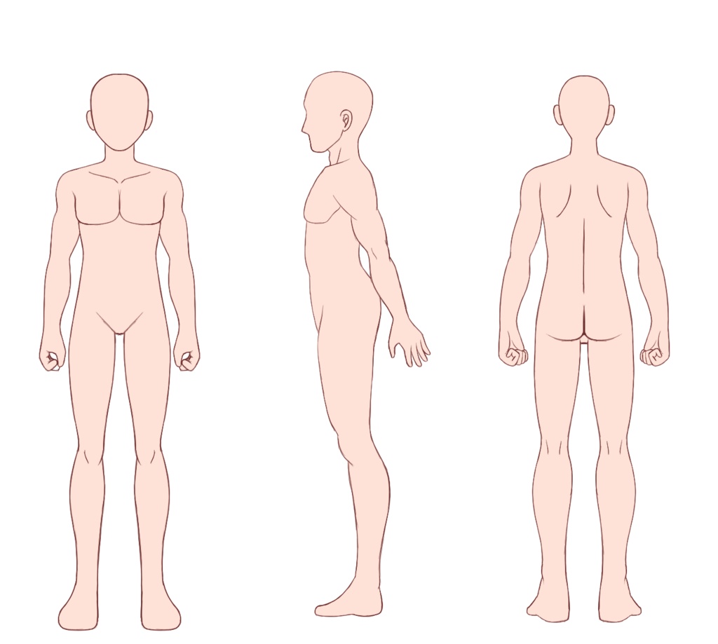 男女人体テンプレート Ver.1.0