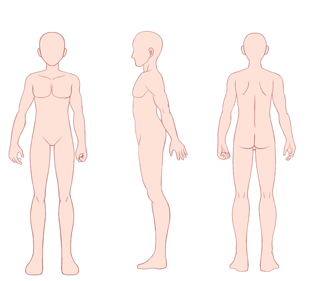 男女人体テンプレート Ver.1.0