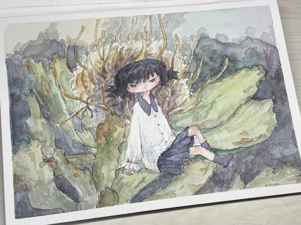 イラスト原画 Leucospermum