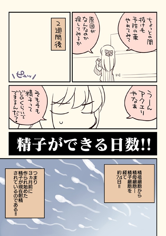 夏コミ新刊4点セット(送料無料)