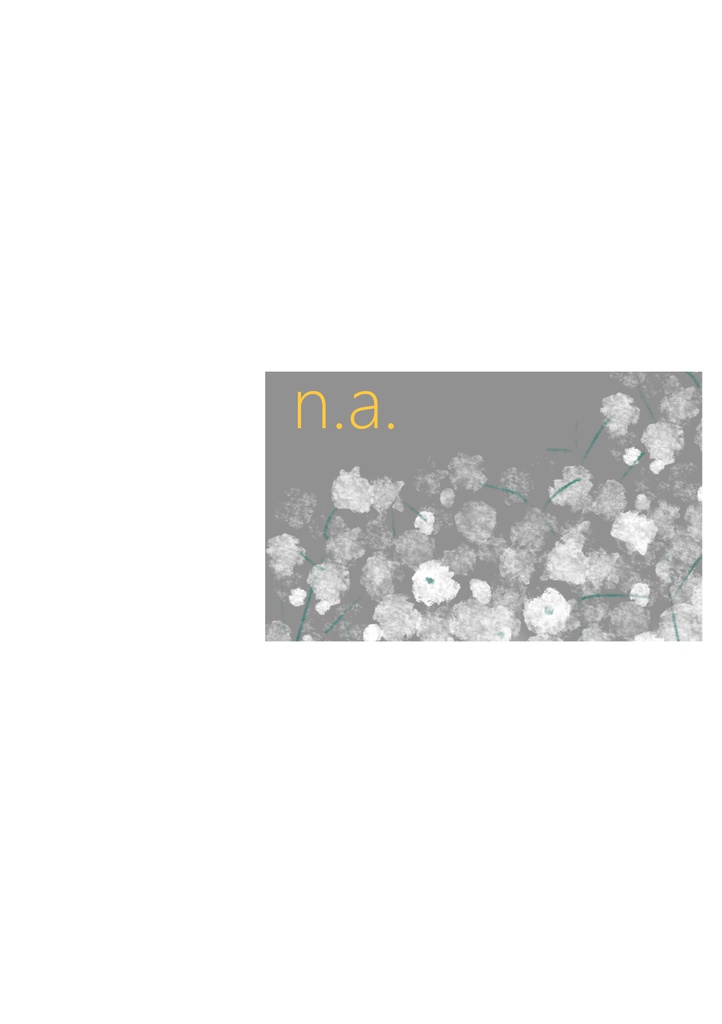 n.a.