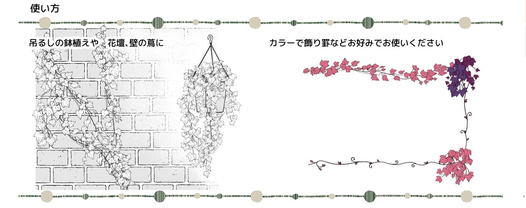 ツタブラシ・アイビー