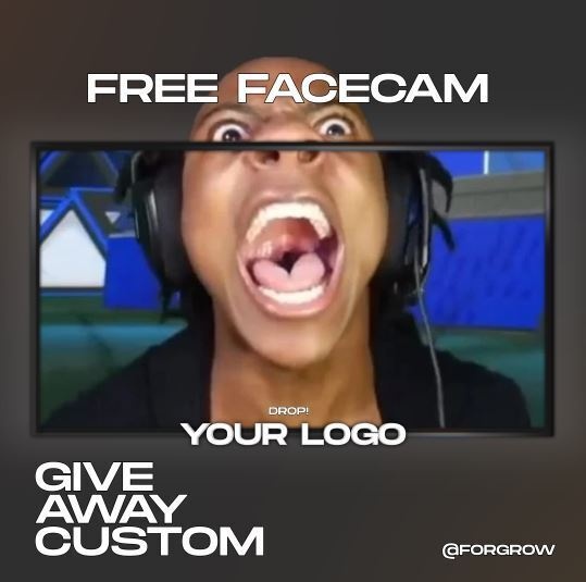 Free Minimal Facecam - OBS TWITCH