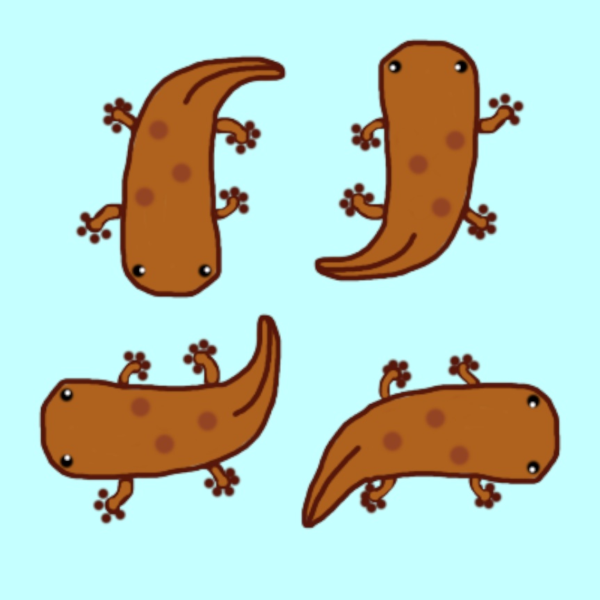 ピクスク用アバター オオサンショウウオ