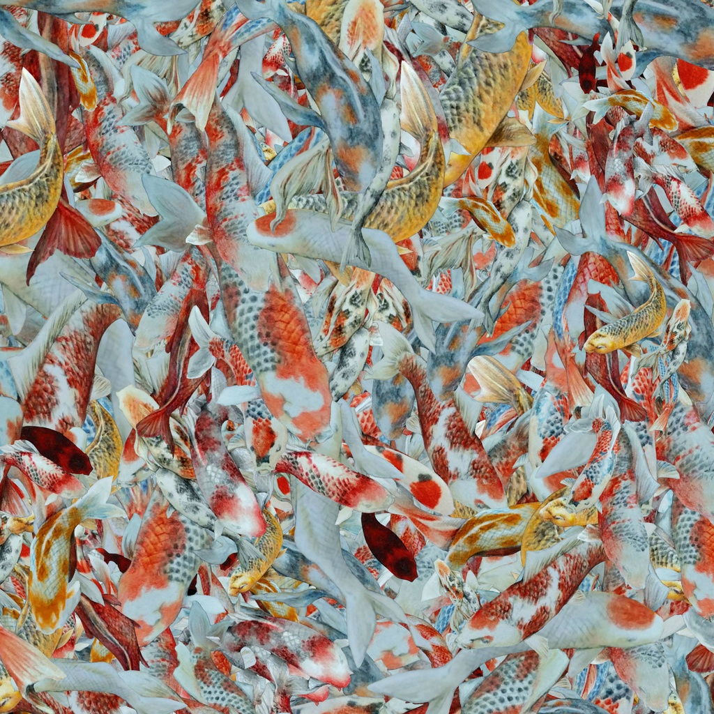 ー 錦鯉ぶらし ー