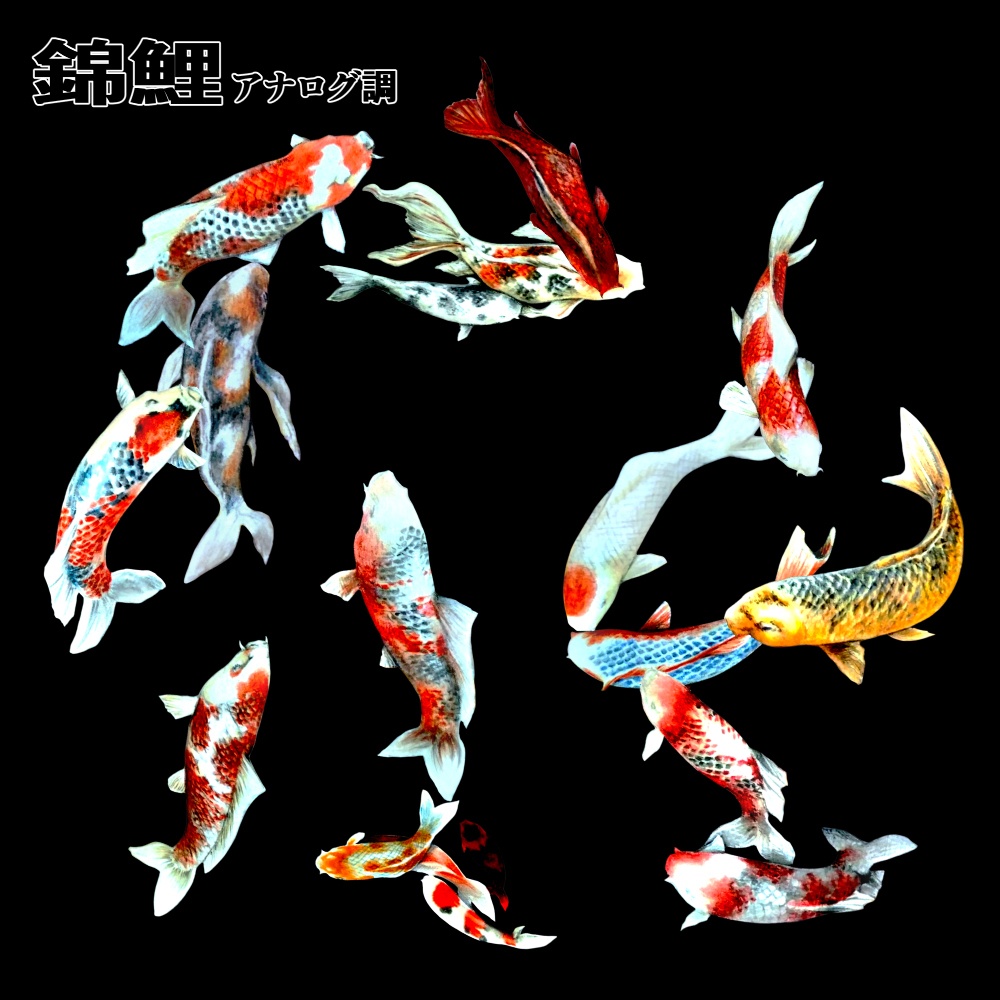 ー 錦鯉ぶらし ー