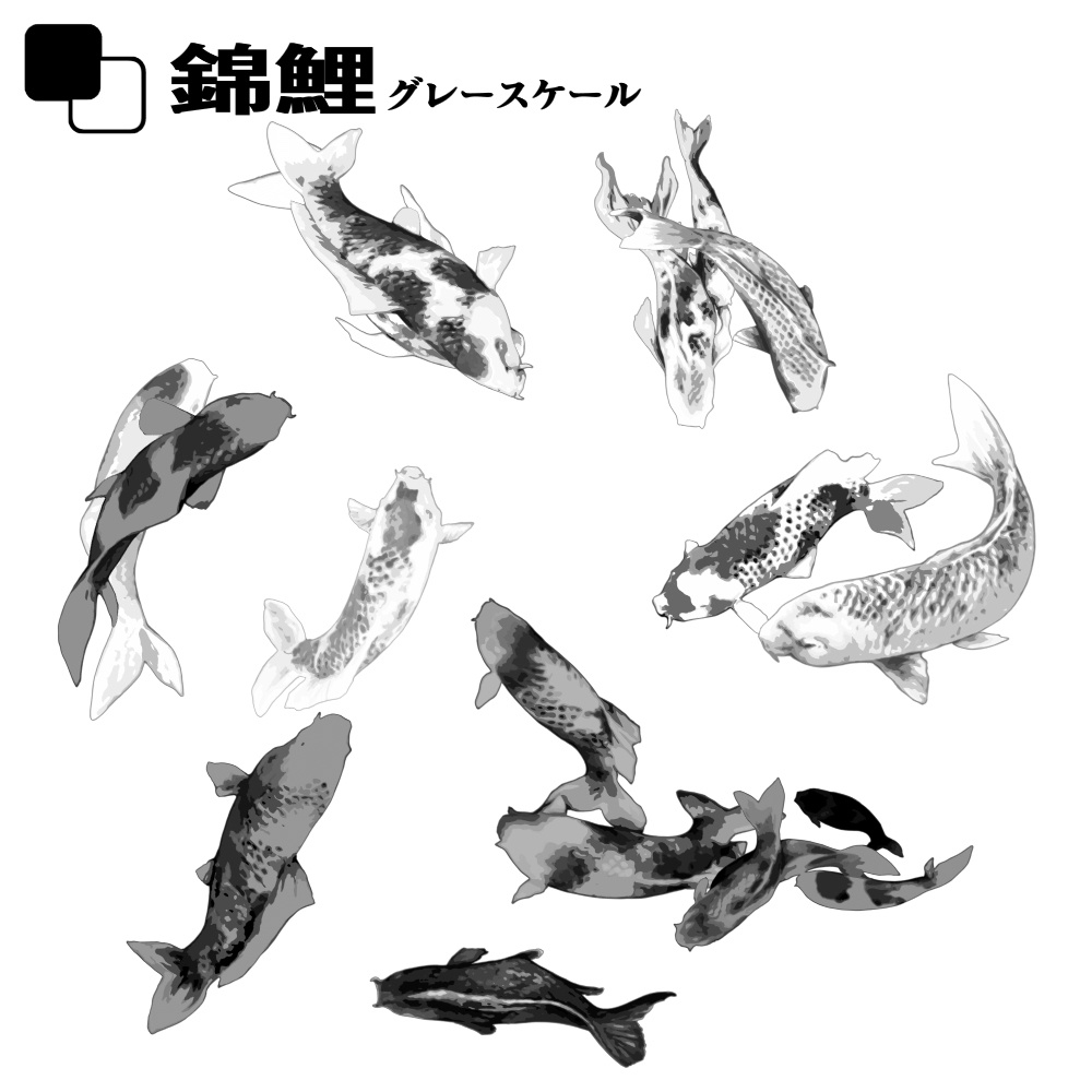 ー 錦鯉ぶらし ー