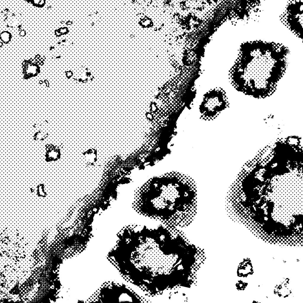 塵と焼き焦げブラシ(画像)
